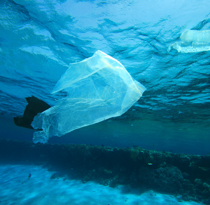 Keeping our marina waters waste-free